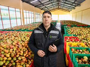 Inbound Norway Fruit Inspections